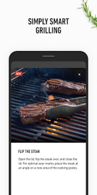 Image 0 for Weber Connect