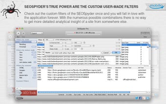 Imagen 2 para SEOSpyder
