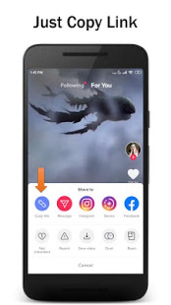 Image 2 for Video Downloader TikTok