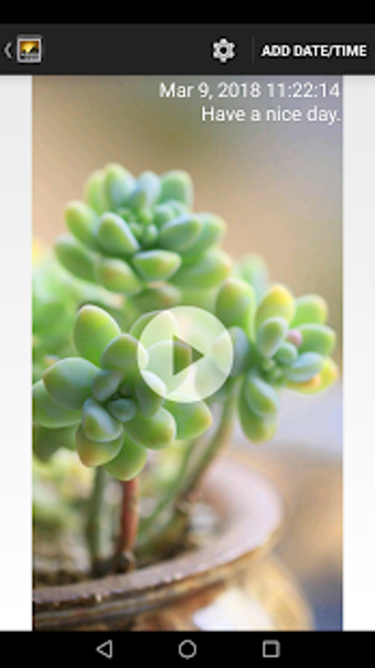 Image 3 for Timestamp Photo and Video…