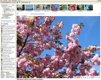 Imagen 0 para cPicture