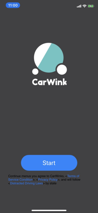 Image 1 for CarWink