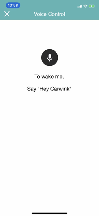 Image 2 for CarWink