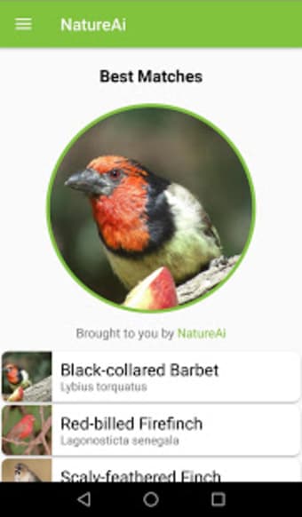 Image 3 for NatureAi Bird ID: South A…