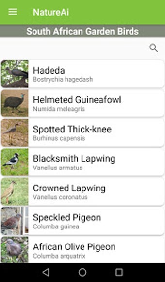 Imagen 3 para NatureAi Bird ID: South A…