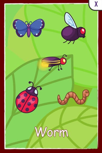 Image 0 for Bugs Toddler Preschool