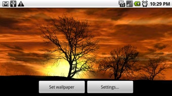 Imagen 1 para Silhouette Live Wallpaper