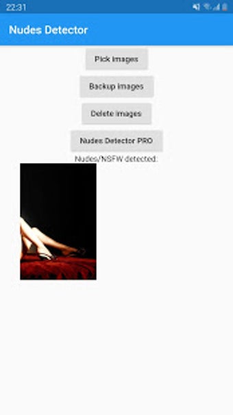 Image 0 for Nudes Detector