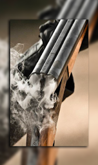 Image 3 for Gun Wallpaper