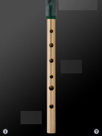Image 2 for Tin Whistle Pro