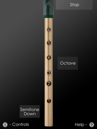 Image 1 for Tin Whistle Pro