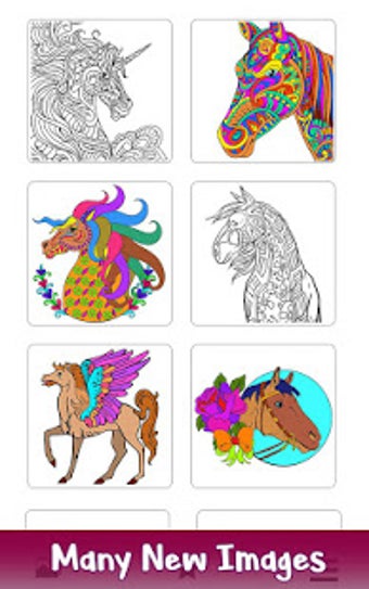 Image 0 for Horse Color by Number - A…
