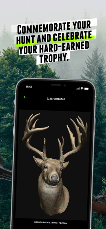 Image 3 for Trophy Scan