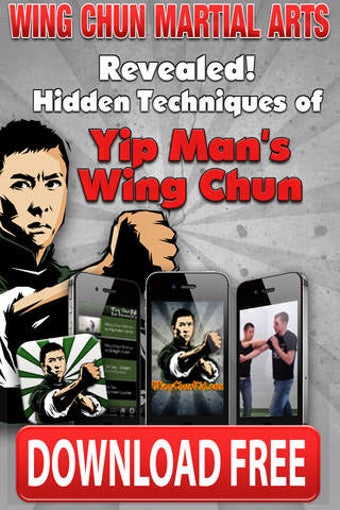 Imagen 0 para Wing Chun Martial Arts Se…