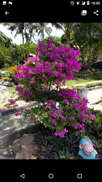 Image 1 for Luma: heic to jpg convert…