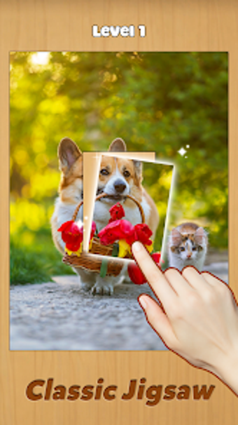 Imagen 0 para Jigcard: Sort Puzzle