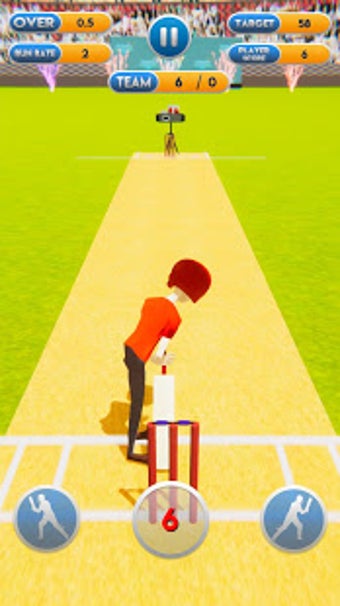 Image 3 for Cricket World Cup Mayhem …