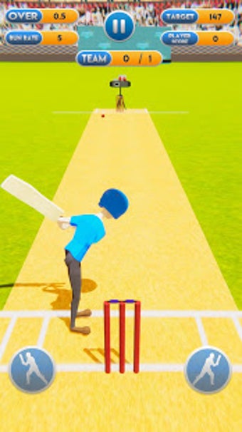 Image 0 for Cricket World Cup Mayhem …