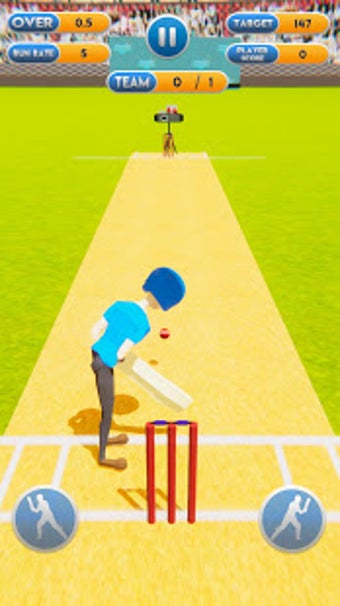 Image 1 for Cricket World Cup Mayhem …