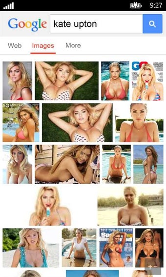 Image 2 for Hidden Browser for Window…