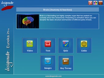 Imagen 0 para Brain - Anatomy & functio…