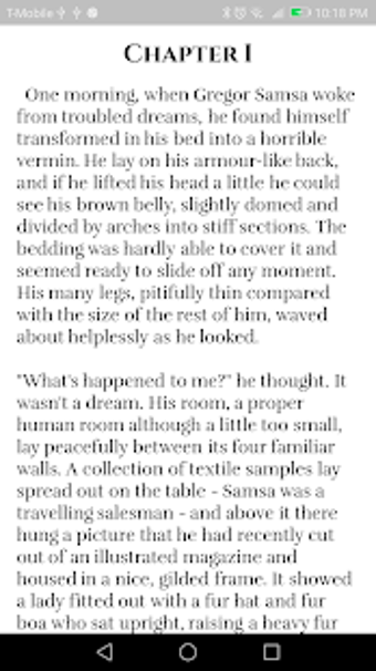 Imagen 1 para The Metamorphosis