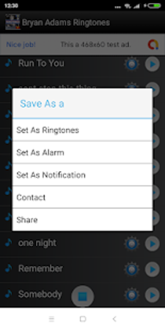 Image 1 for Bryan Adams ringtones