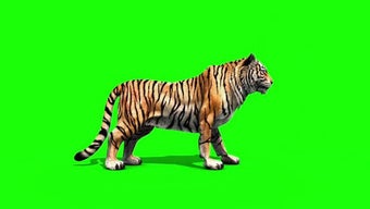 Image 0 for Animals Green Screen Effe…