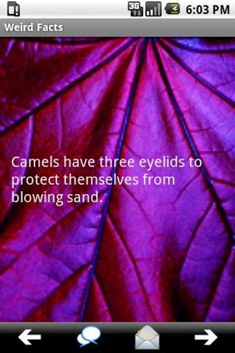 Image 1 for Weird Facts for Android
