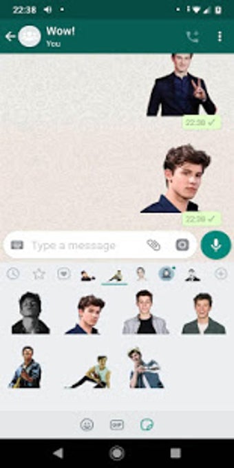 Imagen 1 para Shawn Mendes Fans Sticker…