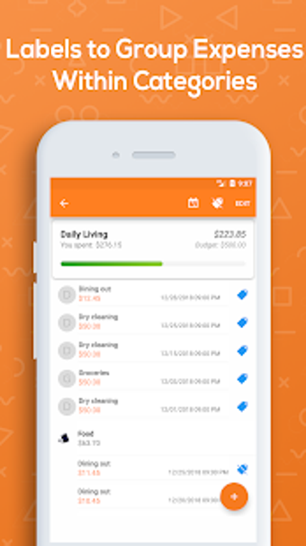 Imagen 0 para Monthly Budget Planner & …