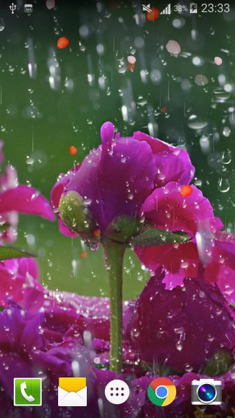 Imagen 3 para Rose Raindrop Live Wallpa…