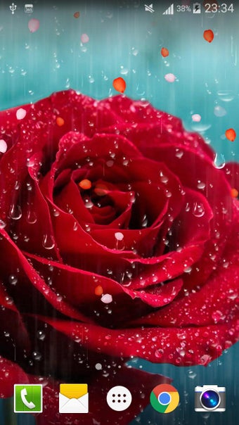 Imagen 0 para Rose Raindrop Live Wallpa…