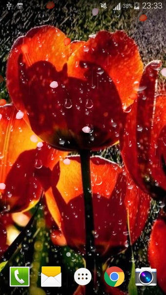 Imagen 1 para Rose Raindrop Live Wallpa…