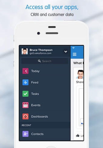 Image 0 for Salesforce1