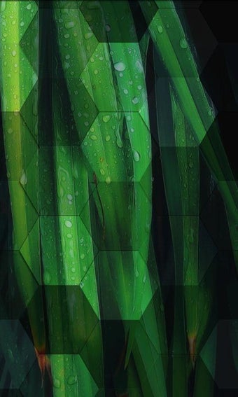 Imagen 1 para Photile Pro Live Wallpape…