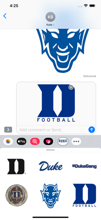 Imagen 0 para Duke Stickers