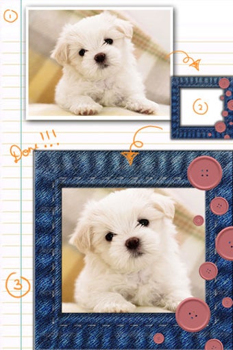 Image 0 for AceCam Frame Pro - Photo …