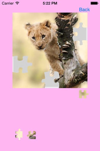Image 0 for Safari Animals Jigsaw Puz…