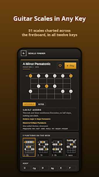 Image 0 for ScaleSeek: Guitar Scale F…