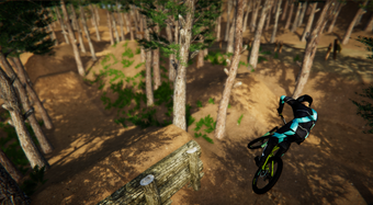 Image 0 for Bikepark Boost for Descen…