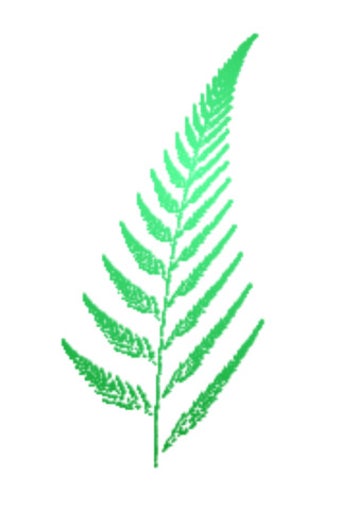 Image 0 for Fractal Growth