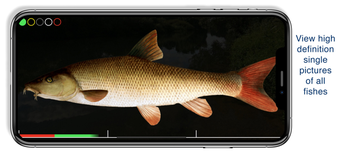 Image 0 for Fishguide Hessia