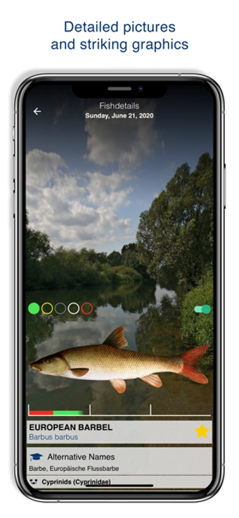 Image 2 for Fishguide Hessia