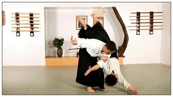 Image 0 for Learn aikido and martial …