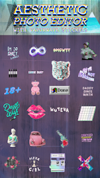 Imagen 2 para Aesthetic Photo Editor Wi…