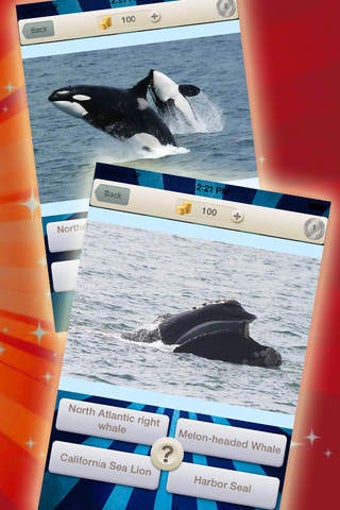 Imagen 0 para Marine Quiz : Ocean Water…