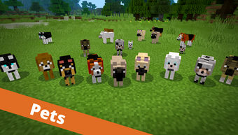 Imagen 2 para Bedrock Addons