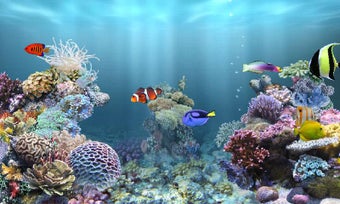 Imagen 2 para aniPet Marine Aquarium HD
