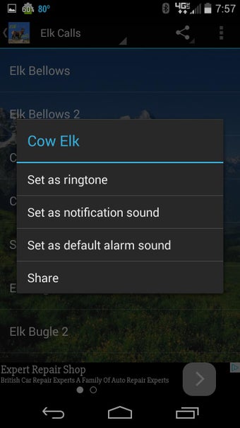 Image 0 for Elk Calls HD